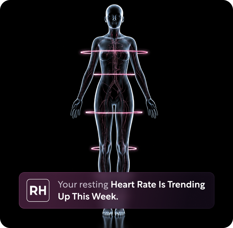 Digital body scan with measurement rings and an RH resting heart rate insight